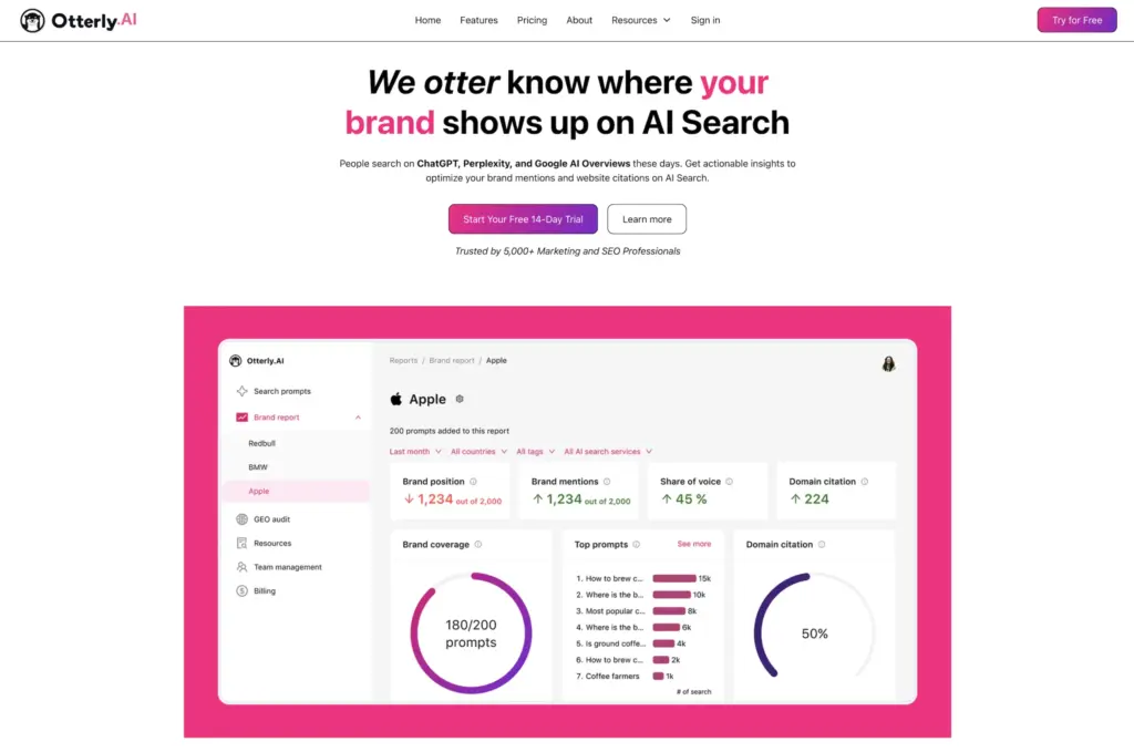 Otterly AEO tracking tool